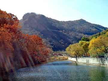 新澳天天开奖资料大全旅游团，二氧化氯发生器型号